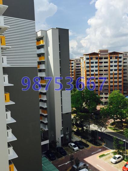 Blk 764 Woodlands Circle (Woodlands), HDB 5 Rooms #110095992